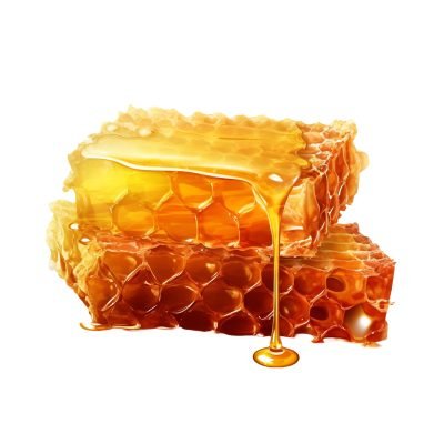 Honeycomb with honey drop isolated -1 kopya
